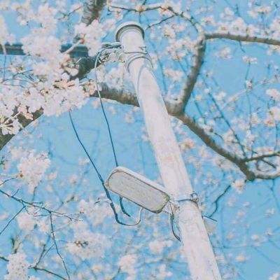 火柴人蜘蛛英雄无限钻石版下载